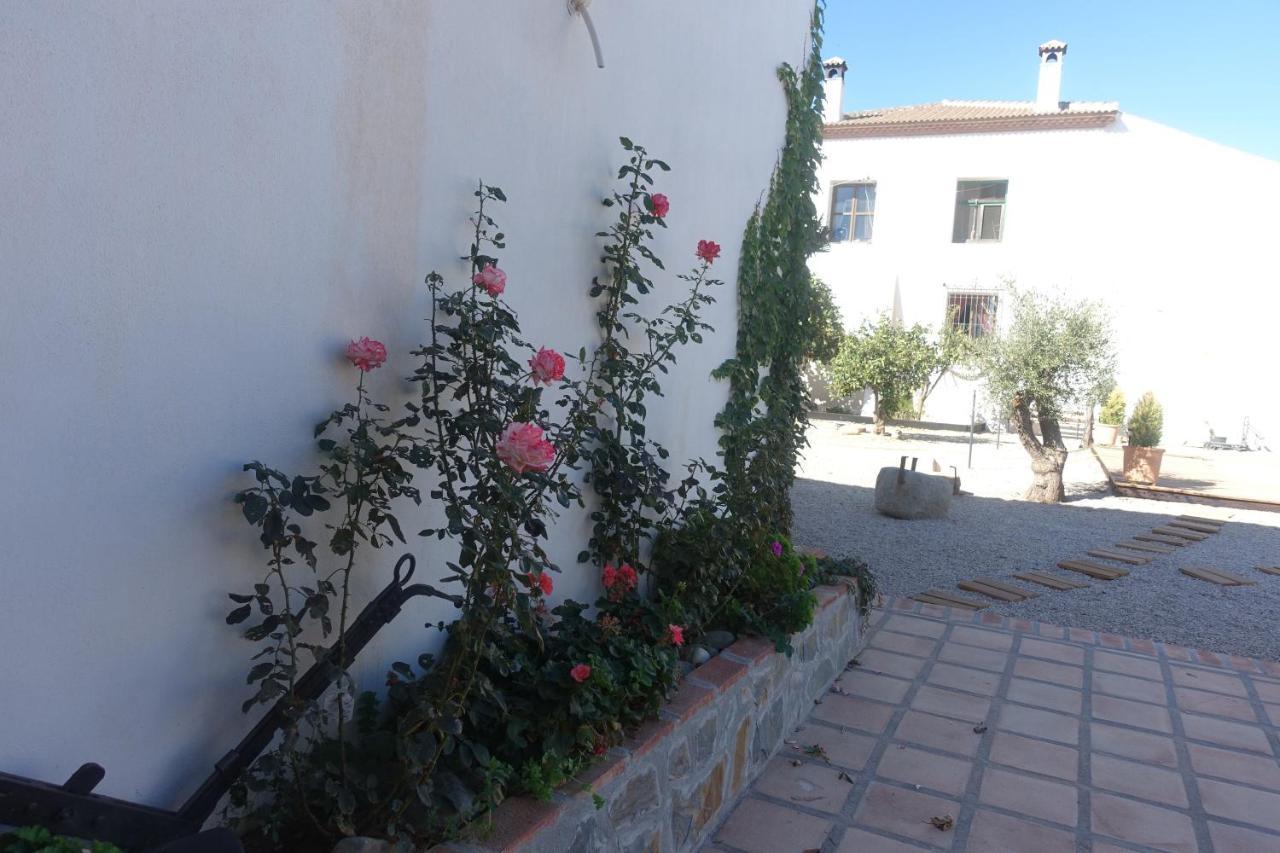 Galwey, Tourist Appartments With Wifi Malaga Exterior photo